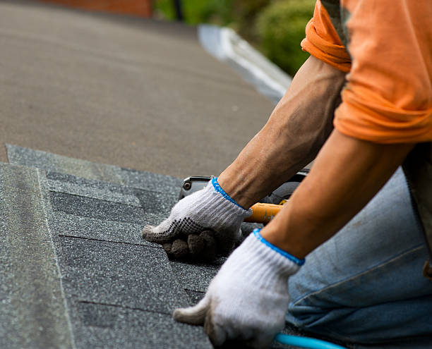 Best Storm Damage Roof Repair  in Standish, MI