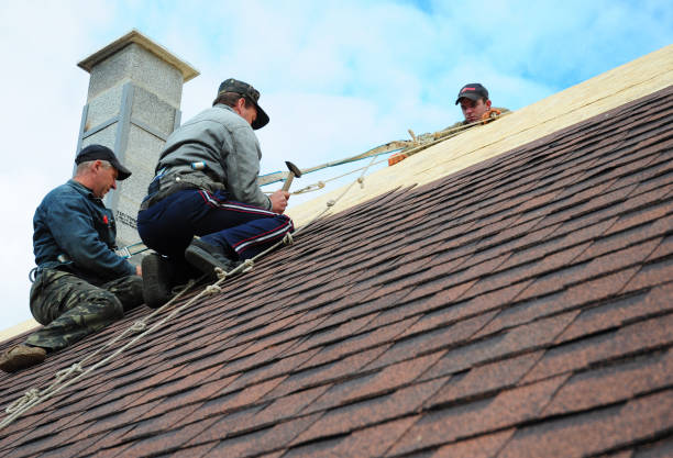 Best New Roof Installation  in Standish, MI