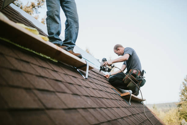 Best Roof Gutter Cleaning  in Standish, MI